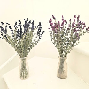 Dried Clary Sage Flower Stems Bouquet (Salvia Viridis)