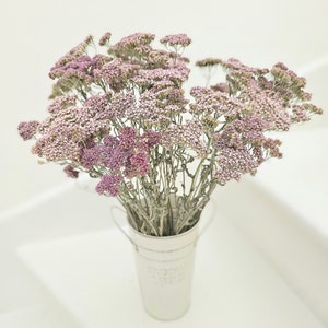 Dried Yarrow Flower Stems Bouquet with color options (Achillea millefolia)