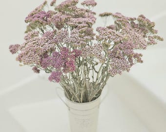 May include: A bouquet of dried yarrow flowers with small, clustered blooms in shades of dusty pink and muted lavender. The flowers are arranged in a tall, off-white metal bucket featuring two thin wire handles on the sides and a tapered base.