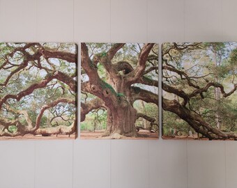 Wall Art Angel Oak Tree Photograph Print