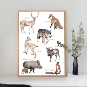 Poster Fauna Selvatica Nativa, Natura Poster A4/A3, Illustrazione Forestale, Belle Arti