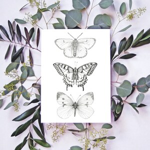 Desenho de borboleta, arte moderna de parede, pintura a4 a3 a2, arte imprimível, pintura em aquarela preto e branco, impressão minimalista