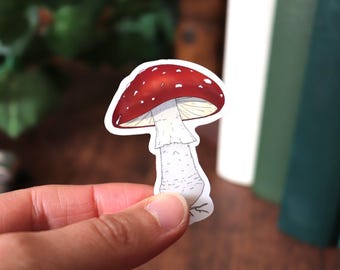 Fly Agaric Watercolor Stickers | Mushroom Vinyl Stickers | Cottagecore, Nature Stickers, Laptop Decor, Bullet Journal, Gift for Nature Lovers