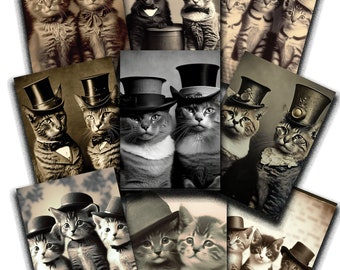Vintage Cat Photos Junk Journal Digital Journal Images Vintage Cat Images Siblings Kitties Images