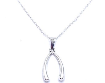 May include: A silver wishbone necklace with a delicate chain. The wishbone pendant is a simple, classic design.