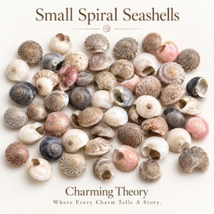 May include: A collection of small spiral seashells in various shades of white, tan, gray, and pink. The text "Small Spiral Seashells" appears at the top, and "Charming Theory Where Every Charm Tells A Story." is printed at the bottom of the image.