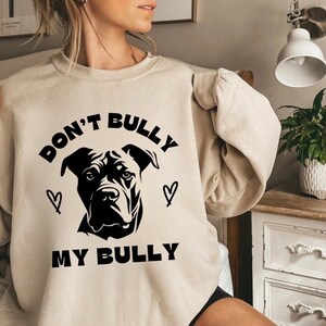 American hotsell bully sweater