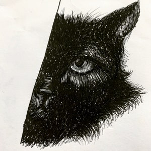 Ilustraciones de animales