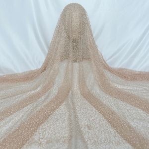 Champagne Color Pearl Lace Fabric, Mesh Fabrics, DIY Clothing Fabrics, Irregular Hollow Out Pearl Fabrics