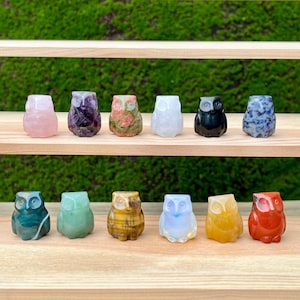 Può includere: Una collezione di piccole statuette di gufo scolpite in vari colori e materiali, tra cui rosa, viola, verde e giallo. I gufi sono esposti su mensole di legno su uno sfondo verde. Ogni gufo ha caratteristiche distinte.