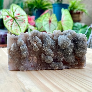 Op de afbeelding: Een rechthoekige, ruwe amethistgeode met een ruw, getextureerd oppervlak. De geode heeft een mix van lichtpaarse en grijze tinten, met kristallijne formaties. De achtergrond omvat groene planten en een houten oppervlak.