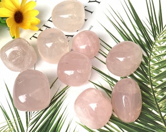 May include: A collection of nine polished rose quartz stones in varying shapes and sizes. The stones range in color from pale pink to a deeper rose hue. They are arranged on a white surface with green and white palm fronds and a yellow flower.