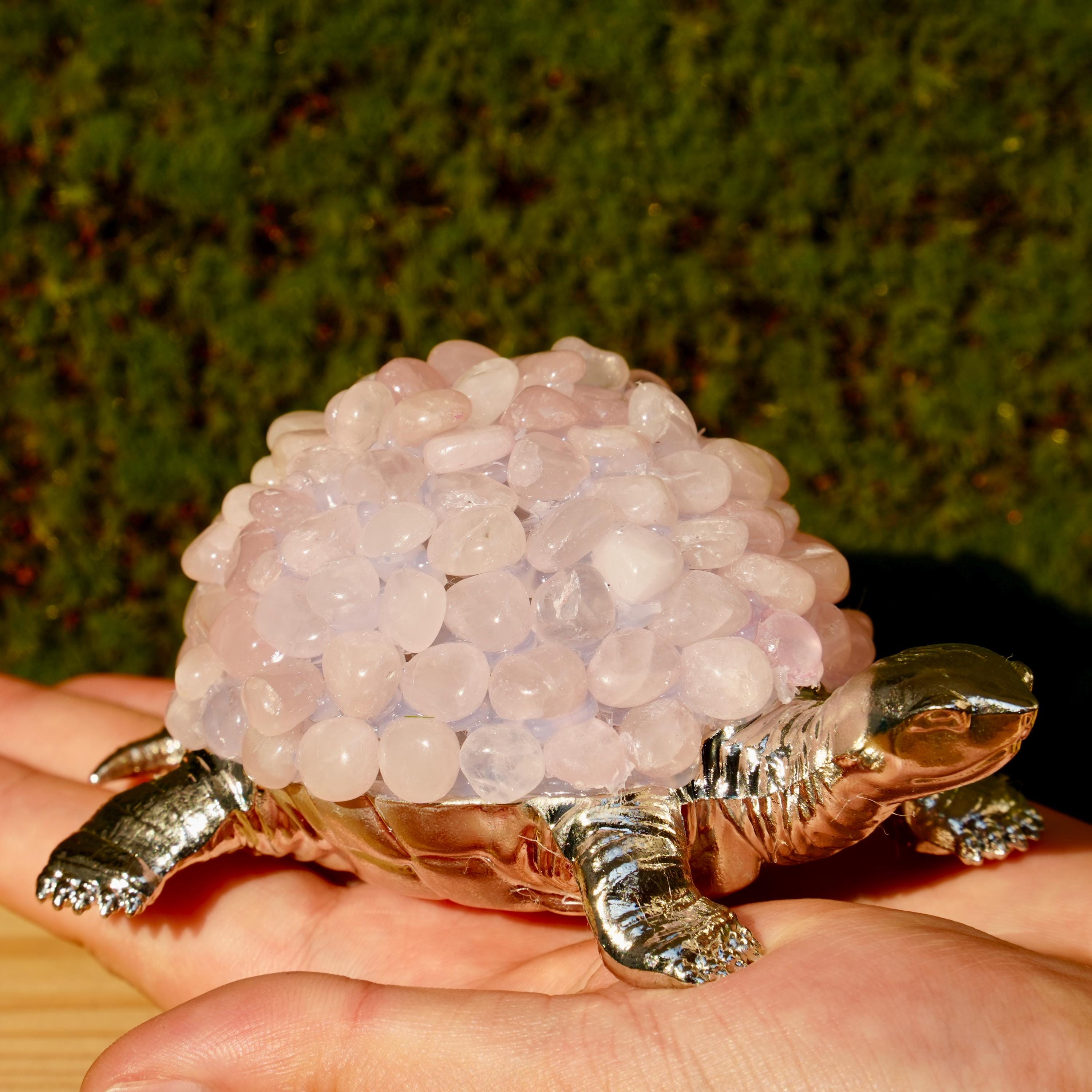 置物 縁起物 動物 ペット ガジェット BESS 亀 置物 縁起物 動物 ペット