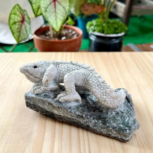 May include: A detailed, light grey sculpture of a lizard with textured skin, perched on a dark grey stone base. The lizard has a detailed, scaled body and is positioned as if it is crawling. The background includes potted plants.