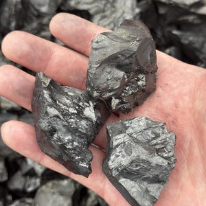 May include: Three pieces of black coal with rough, textured surfaces are held in an open hand. The coal appears dark grey with reflective qualities. The background is filled with more pieces of coal.