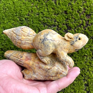 Hand-Carved Crazy Agate Squirrel: Gemstone Home Decor