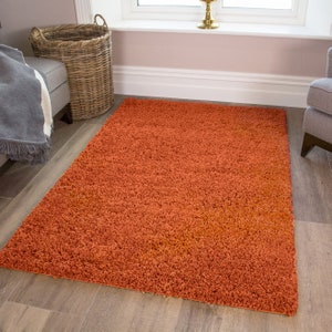 Orange Terracotta Shaggy Area Rug Bedroom Living Room Mat Hallway Runner Rugs