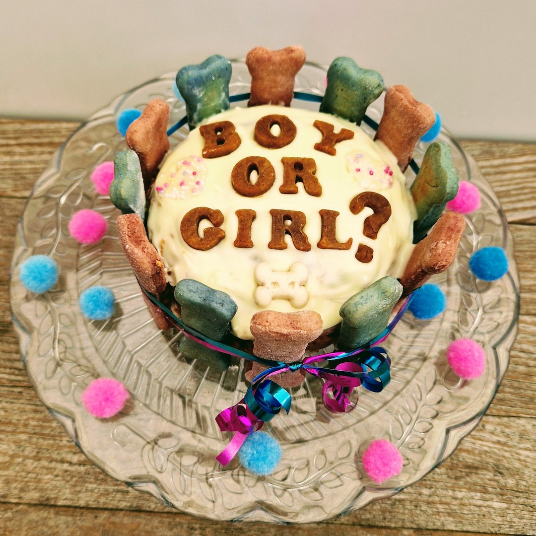 Dog Gender Reveal Cakehandmade Cakes for Dogs Personalised Etsy