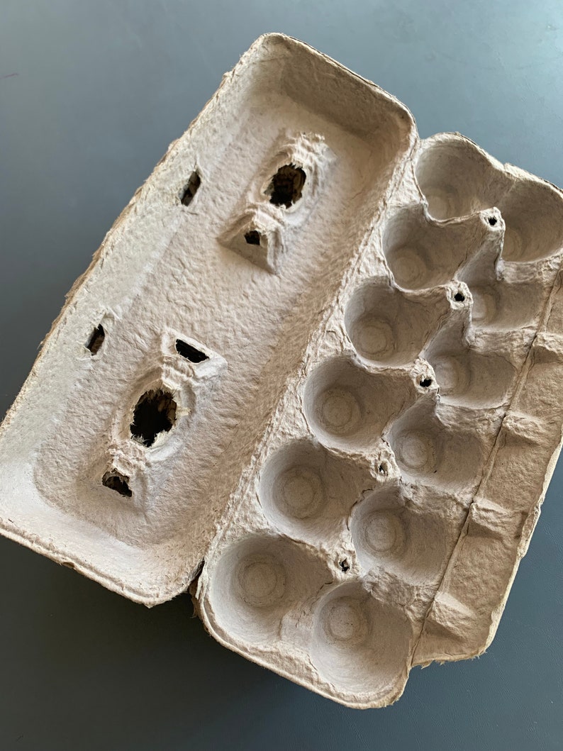 10 Standard Clean Used Cardboard Egg Cartons Etsy