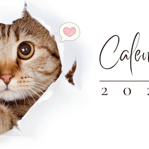 Feline Fun 2023 Calendar for Girls