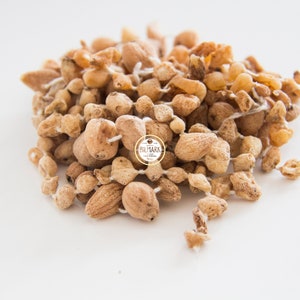 Salep - Sahlep - Raw Sahlep - Salep Raw- Pure Salep - Original Root Sahlep 25g - 900g | Excellent Quality | Harvest New - by Bilmark