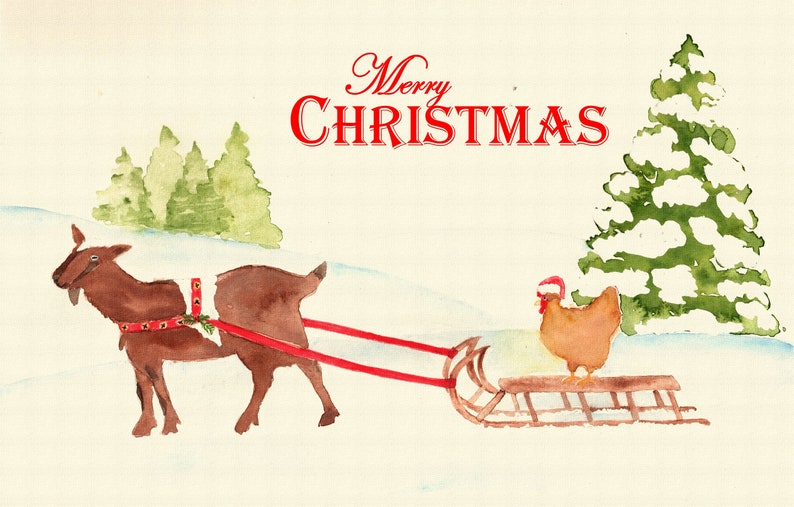 Vintage Goat and Chicken Christmas Card Etsy
