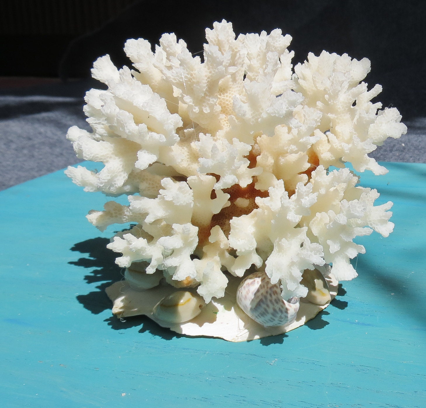 White Coral Décor - Beach Home Décor - Faux Coral Reef Décor 6.5” x 5” x  5.5” - Resin Coral Décor - White Coral Decoration - Coral Branch Décor 