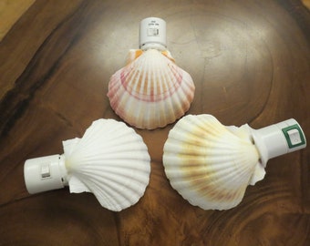 Great bathroom night light, clam lamp, night light with shellfish, sea shell night light, shell lamp, bathroom lamp, scallop shells lamp