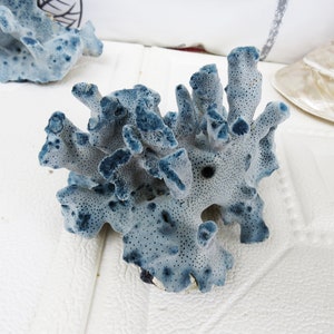 Blue Coral, Natural blue Coral, Coral Decor,Aquarium Coral, Home Decor, Home&Living Decor, A gift,