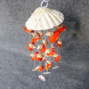 May include: A white seashell wind chime with a large seashell at the top and multiple smaller seashells hanging from it. The smaller seashells are orange and brown with white markings.