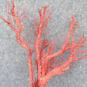 Naturlig röd korall 46 cm akvariedekor, heminredningsdekor, äkta korall för dyrbara hus bild 9