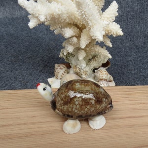 May include: A small, brown and white seashell turtle figurine with red accents. The turtle is standing on a wooden surface.