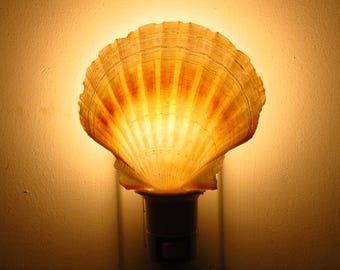 LED String Sea Shell Light (10 Feet/3 Meters) - Etsy