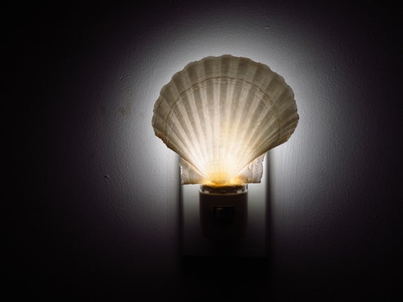 shell  light ♡ seaside ♡ white シェルライト shell light ♡ seaside ♡ white シェルライト Seashell Night Light