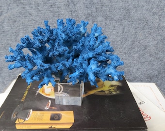 Real blue coral decor,coral with crystal base,  beautiful natural coral, decorative aquarium coral, natural marine coral, blue coral