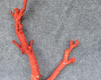 Red coral Branch 15x10,5x4  Inches | Natural Coral | Real Coral | Coral Decor | Aquarium Coral | Aquarium decor | Sea Coral | Home Decor