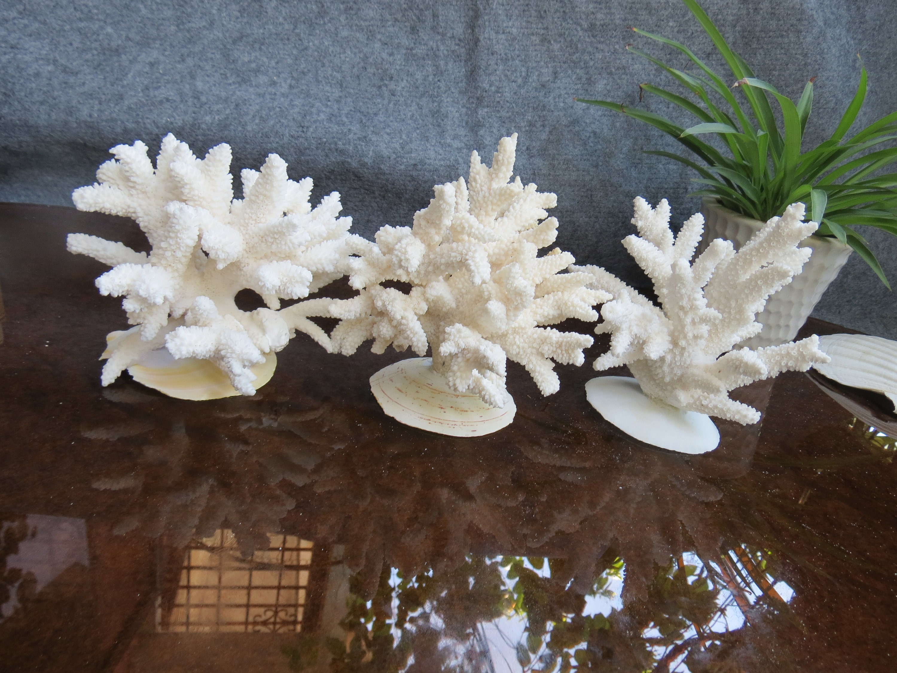 Buy Coral Resin Online In India -  India