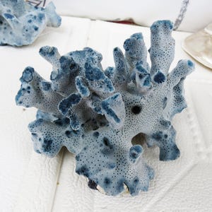 Blue Coral, Natural blue Coral, Coral Decor,Aquarium Coral, Home Decor, Home&Living Decor, A gift,