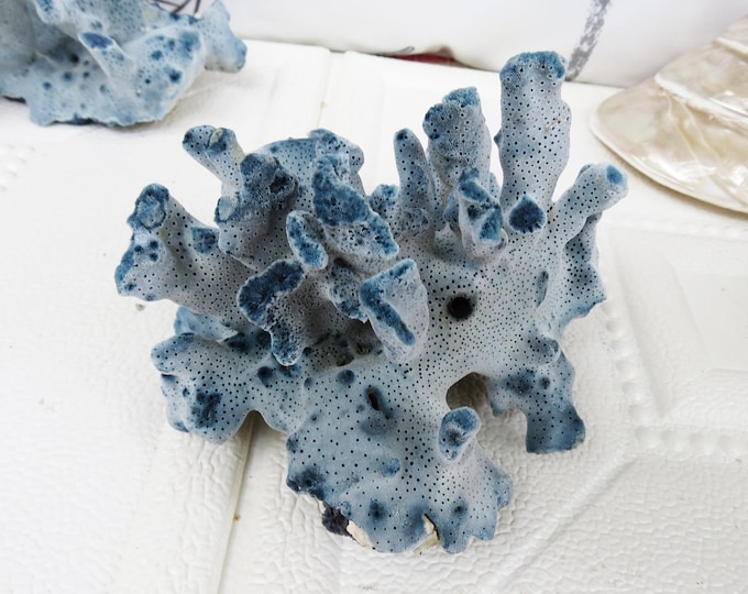 Blue Coral, Natural blue Coral, Coral Decor,Aquarium Coral, Home Decor, Home&Living Decor, A gift,