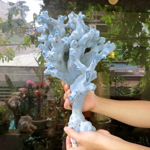 Large blue coral length 43 cm,  weight 2.2 kg,  beautiful and very special shape, natural coral, marine coral, decorative aquarium coral