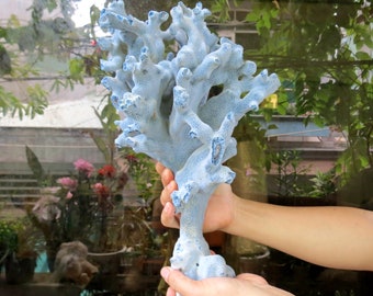 Large blue coral length 43 cm,  weight 2.2 kg,  beautiful and very special shape, natural coral, marine coral, decorative aquarium coral