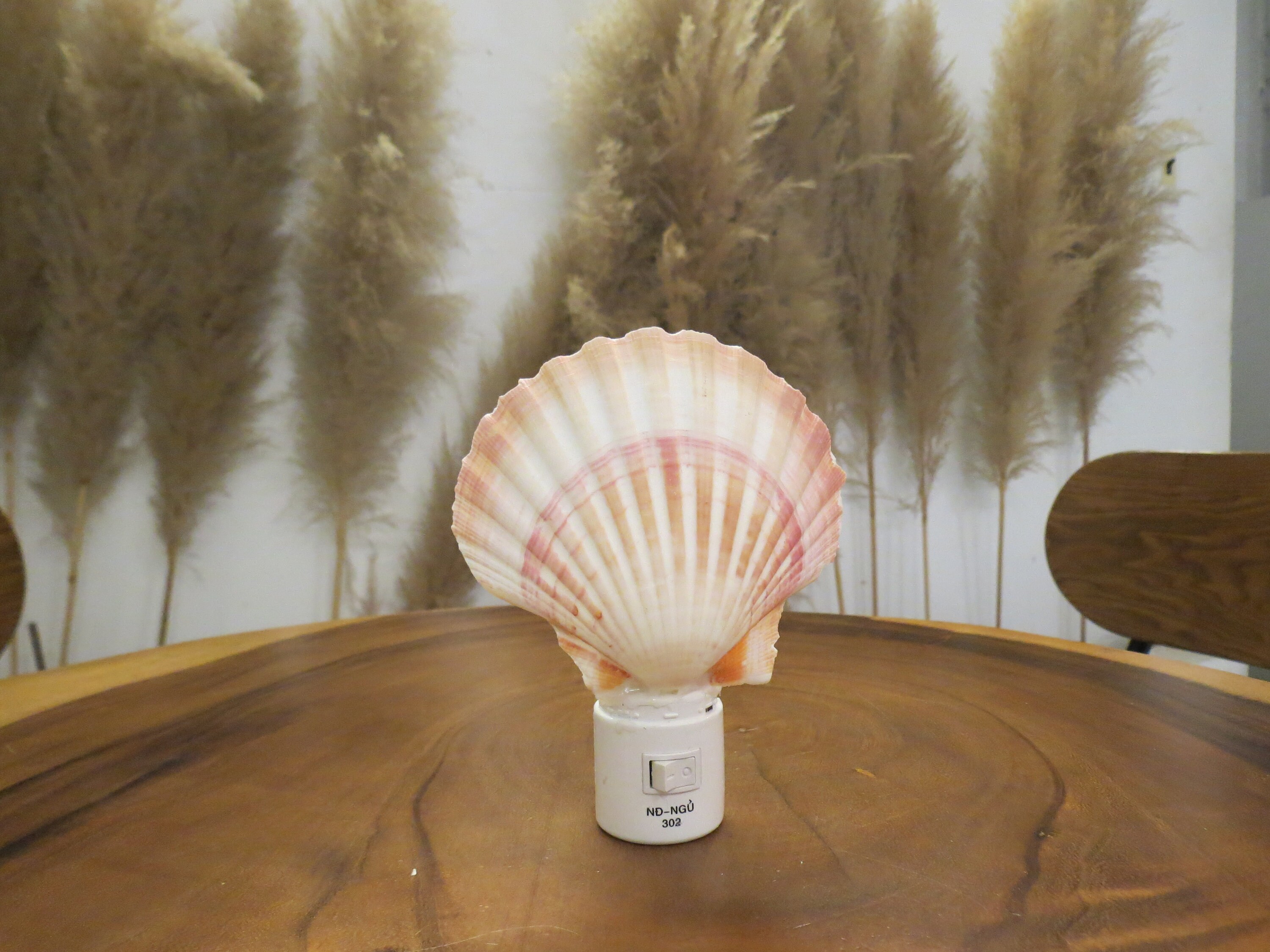 Great Bathroom Night Light, Clam Lamp, Night Light With Shellfish