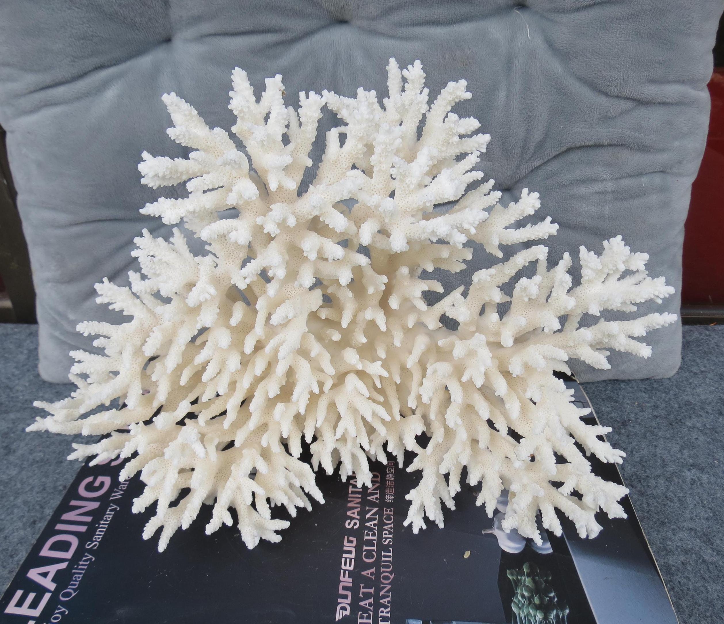 10.6'' Large Real White Coral, Decorate Fish Tanksnatural Coral