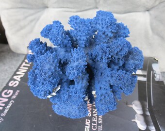 ブルー珊瑚　ハイグレード　特別　かわいすぎ　プレート　大きい！横21cm縦16 珊瑚プレート（小皿）オーシャンブルー【沖縄県/datta.南の島陶芸工房