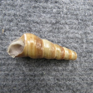 shell pipe-Spiral screw pipe