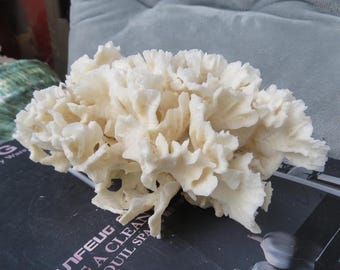 Real coral, beautiful natural coral, marine coral, aquarium, decorative aquarium coral, natural marine coral, big white coral