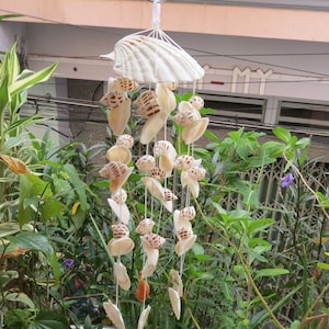 May include: A seashell wind chime with a large seashell at the top and multiple smaller seashells hanging from it. The wind chime is hanging from a white hook in front of a green leafy plant.