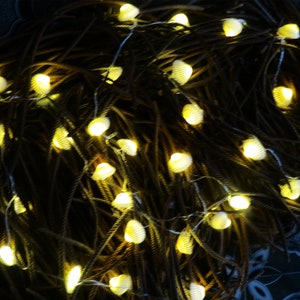 May include: A string of white shell-shaped lights with warm white LED bulbs. The lights are strung on a brown wire and are perfect for adding a touch of whimsy to any space.