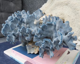 Blue Coral 11.8" Is Very Beautiful, Large Natural Coral, Real Coral Very Special, Decorative Corals For Aquariums, Precious Houses