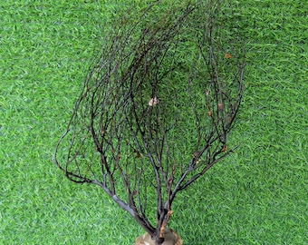 Natural black coral for home decoration